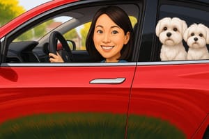 My Tesla That Understands Me: From Driving Anxiety to an Imagined Journey of Green Freedom