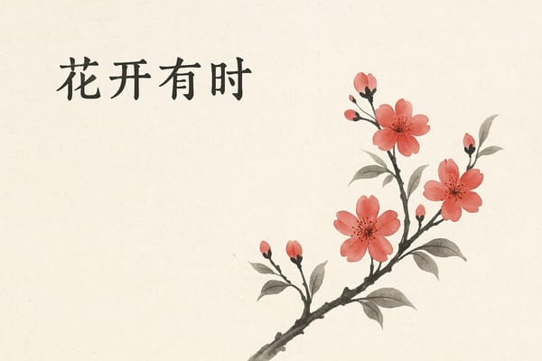 不要急，花开有时